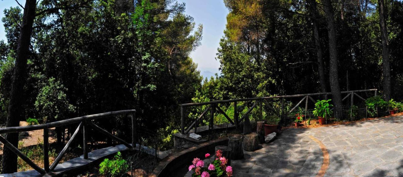 مونتيمارتشيلو B&B Al Cavalluccio Marino المظهر الخارجي الصورة