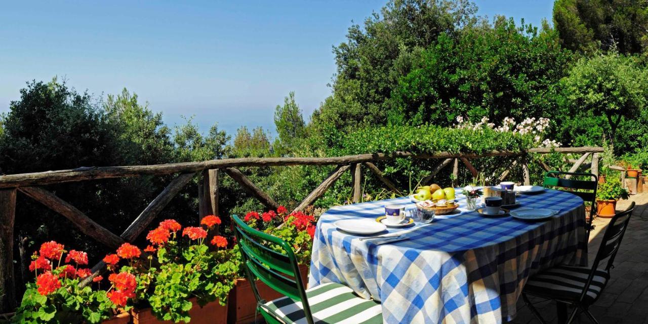 مونتيمارتشيلو B&B Al Cavalluccio Marino المظهر الخارجي الصورة
