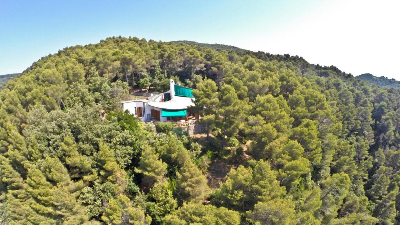 مونتيمارتشيلو B&B Al Cavalluccio Marino المظهر الخارجي الصورة