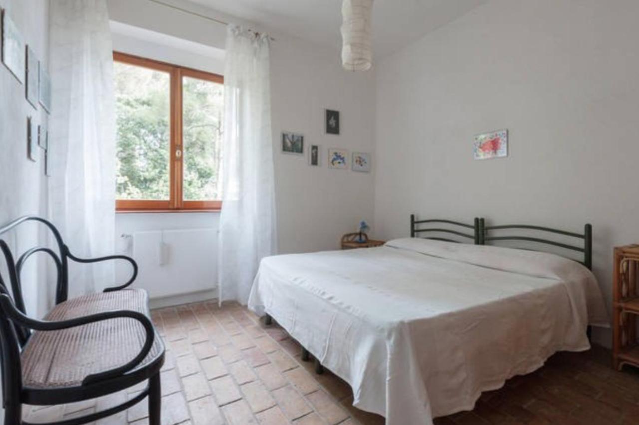 مونتيمارتشيلو B&B Al Cavalluccio Marino المظهر الخارجي الصورة